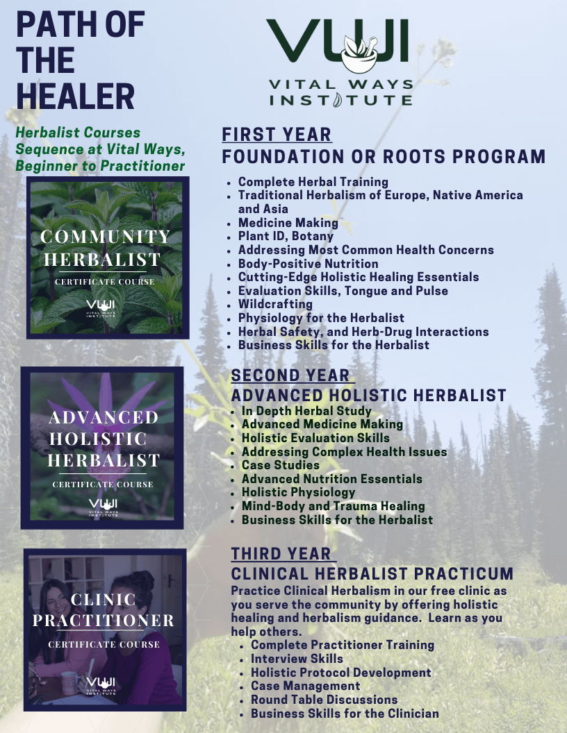 Blue and Green Pattern Creative Resume (3)